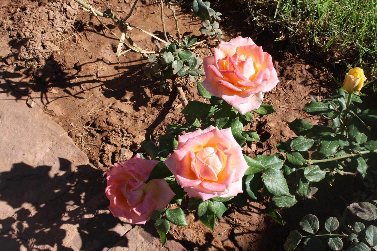 מלון תהנאות Terres D'Amanar מראה חיצוני תמונה